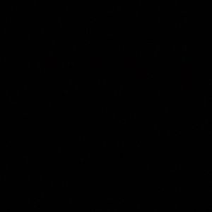 Meet your Posher, Jamea